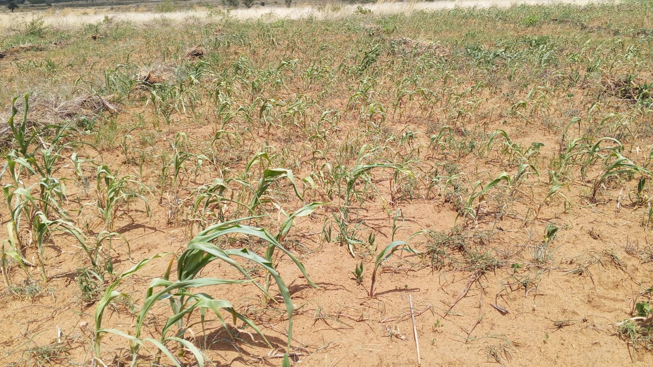 Drought & Hunger are Devastating Families in Karamoja Uganda